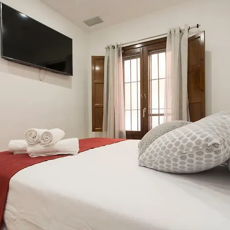Apartamento Calle Santiago Centro Granada